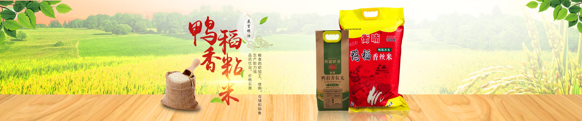 湖南省展望生物科技發展有限公司_農副產品加工|糧食收購